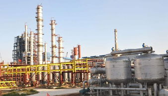 高半胱氨酸硫內(nèi)酯鹽酸鹽市場生產(chǎn)需求現(xiàn)狀及前景分析